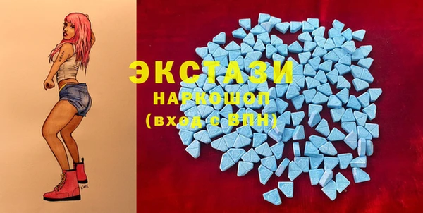 сатива Аша
