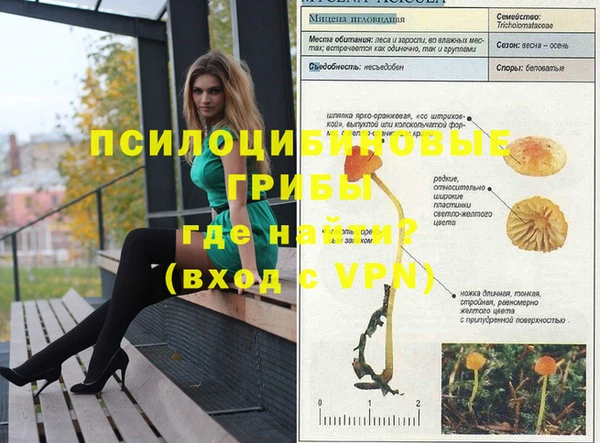 экстази Бородино