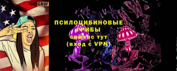 экстази Бородино